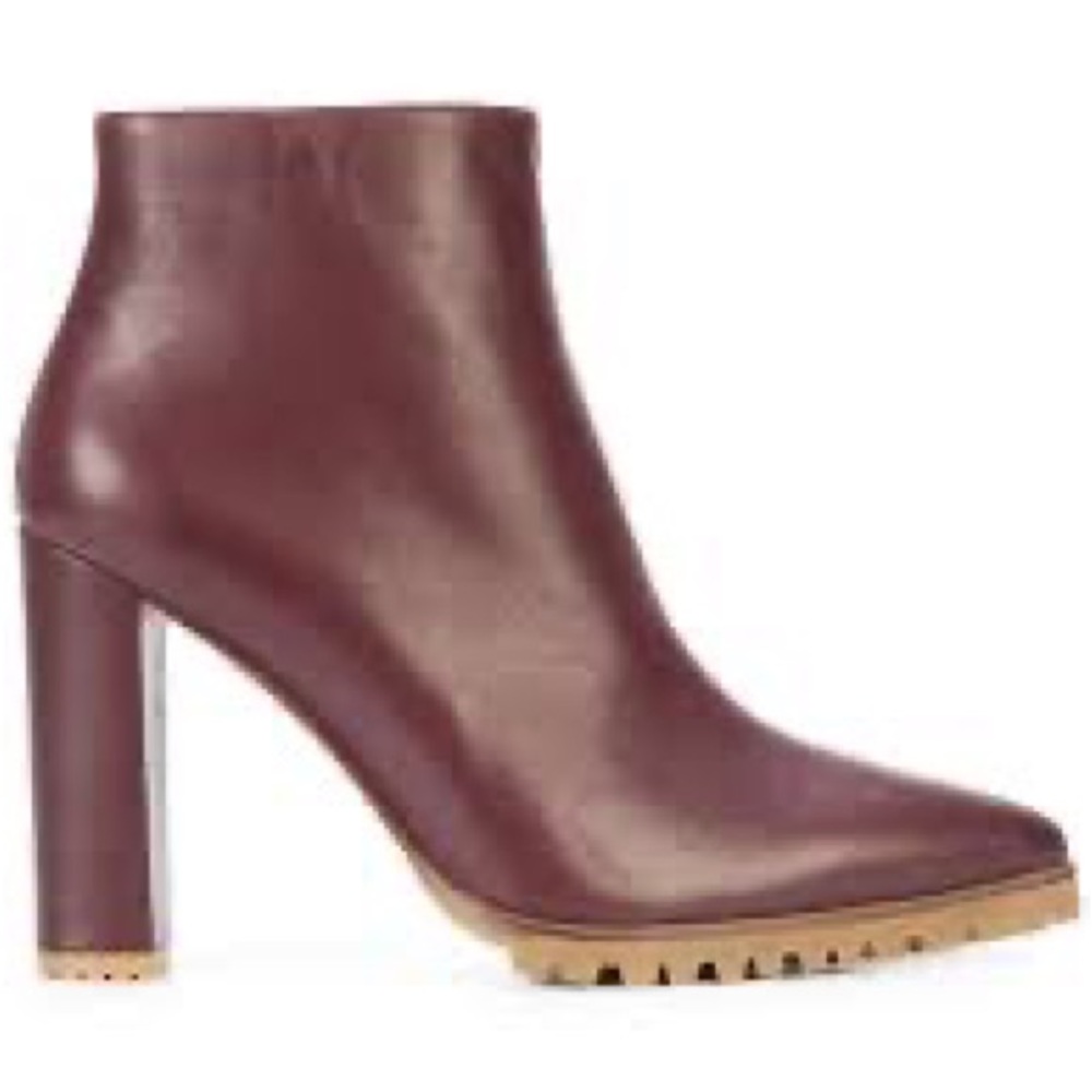 Anine bing Frances pointed toe boot